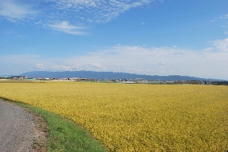 整備予定地付近 整備予定地付近
