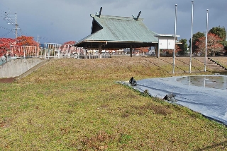 市民相撲場 市民相撲場