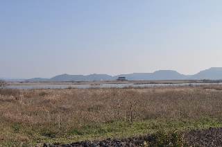 本明川下流域 本明川下流域